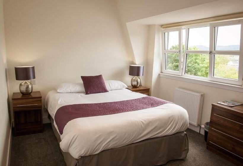 Camera Standard, The Birchtree