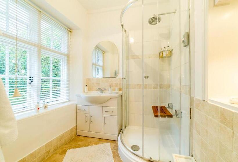 Номер Deluxe, Molland Manor House Bed & Breakfast