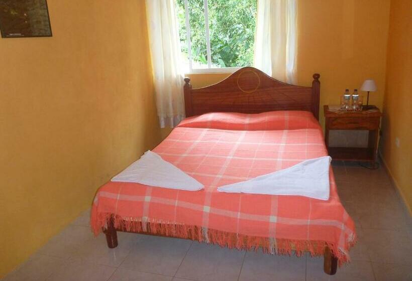스탠다드 룸, Hostal Tena ñaui