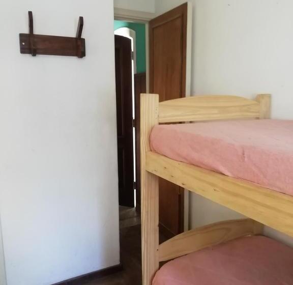 园景标准四人间, Zeppelin Art Hostel