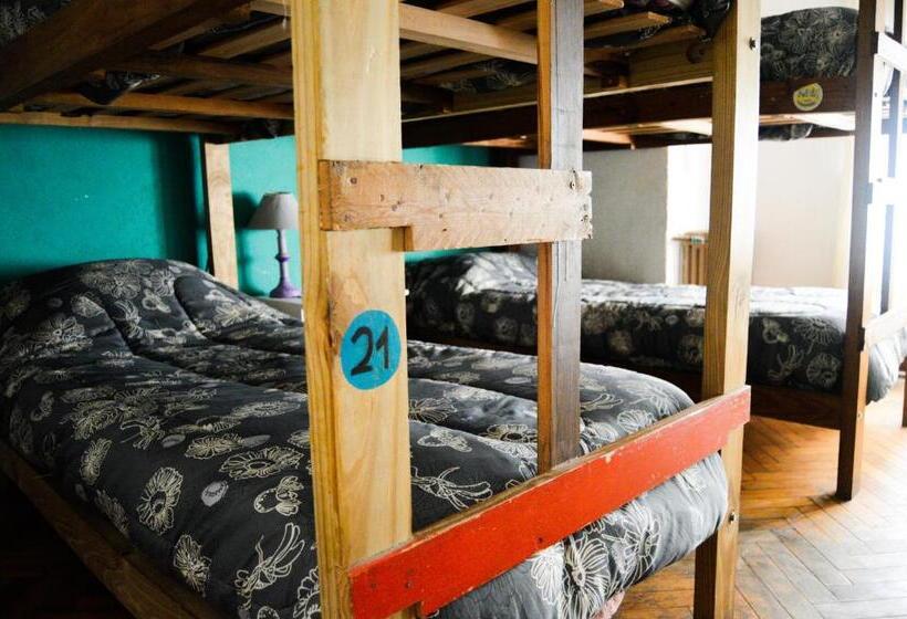 家庭间, Zeppelin Art Hostel