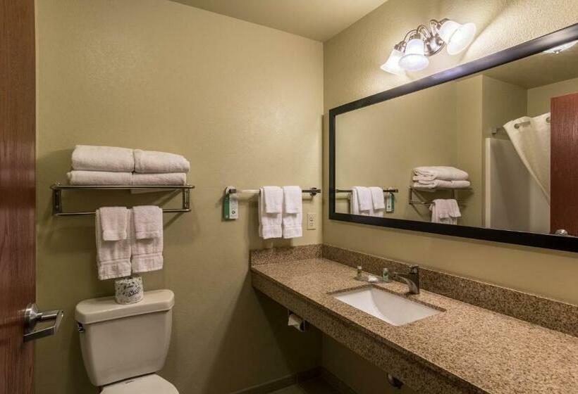 Номер Deluxe Кровать Кинг, Cobblestone Hotel & Suites   Harborcreek