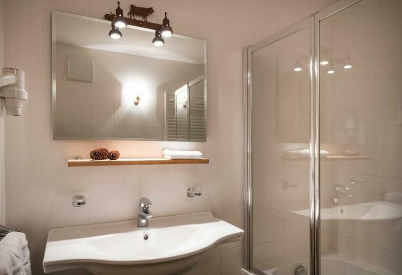Студия Стандарт, Piculin Alpin Apartments