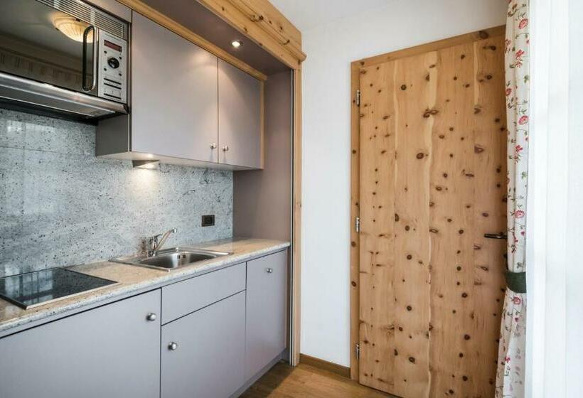 Апартаменты 1 Спальня, Piculin Alpin Apartments