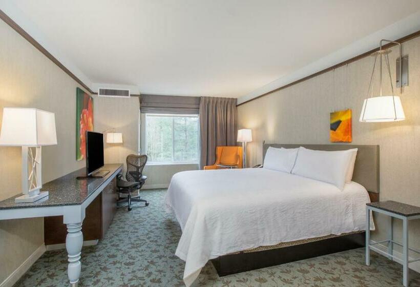 스탠다드 룸 킹사이즈 침대, Hilton Garden Inn Olympia