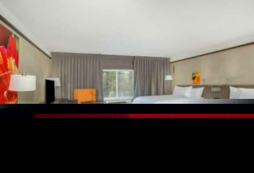 장애인을 위한 킹사이즈 침대 스탠다드 룸, Hilton Garden Inn Olympia
