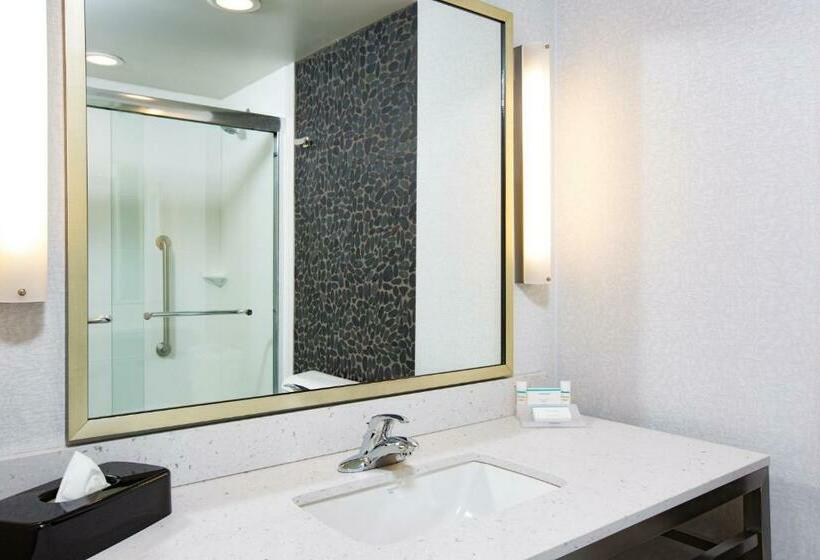 장애인을 위한 킹사이즈 침대 스탠다드 룸, Hilton Garden Inn Olympia