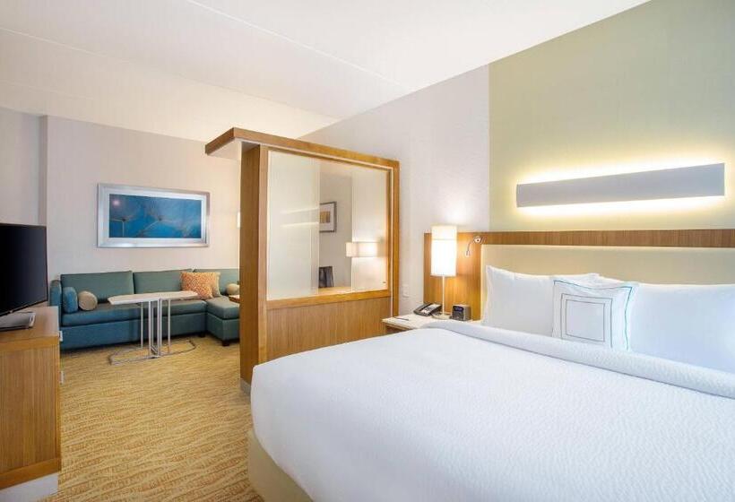 스위트 킹사이즈 침대, Springhill Suites By Marriott Mount Laurel