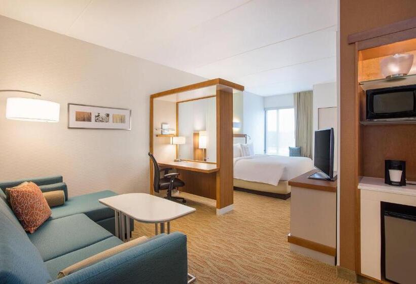 キングサイズベッドのスイートルーム, Springhill Suites By Marriott Mount Laurel