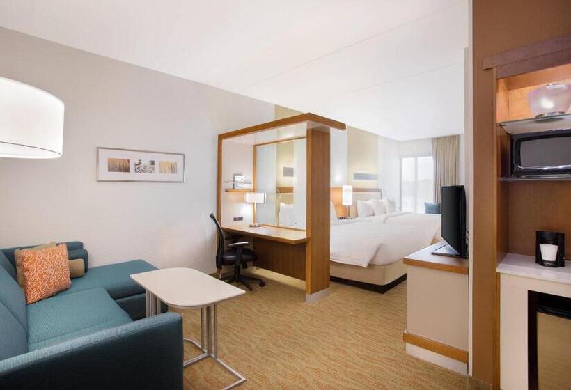 디럭스 룸, Springhill Suites By Marriott Mount Laurel