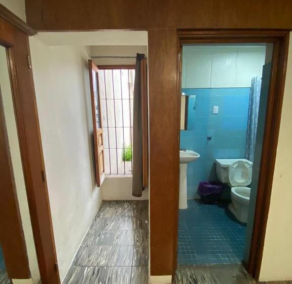 Quarto Estandar, Flamingos De Ciudad Guzman