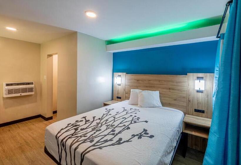 标准间, Exclusivo Inn And Suites Near Arlington Stadium