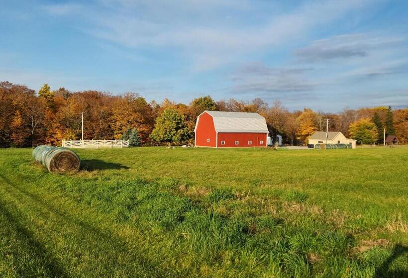 Номер Basic, The Stable At Windmill Ridge Farm