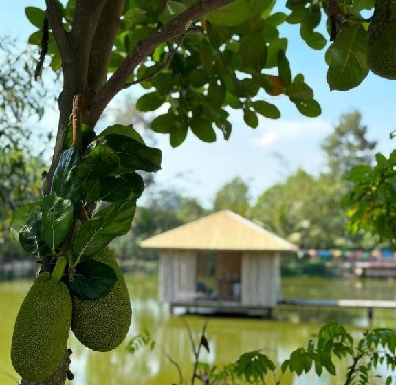 اتاق لوکس, Tina Lakeside   Ao đôi   Phước Hải