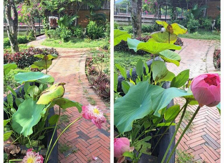 اتاق لوکس چهار تخته, Tina Lakeside   Ao đôi   Phước Hải