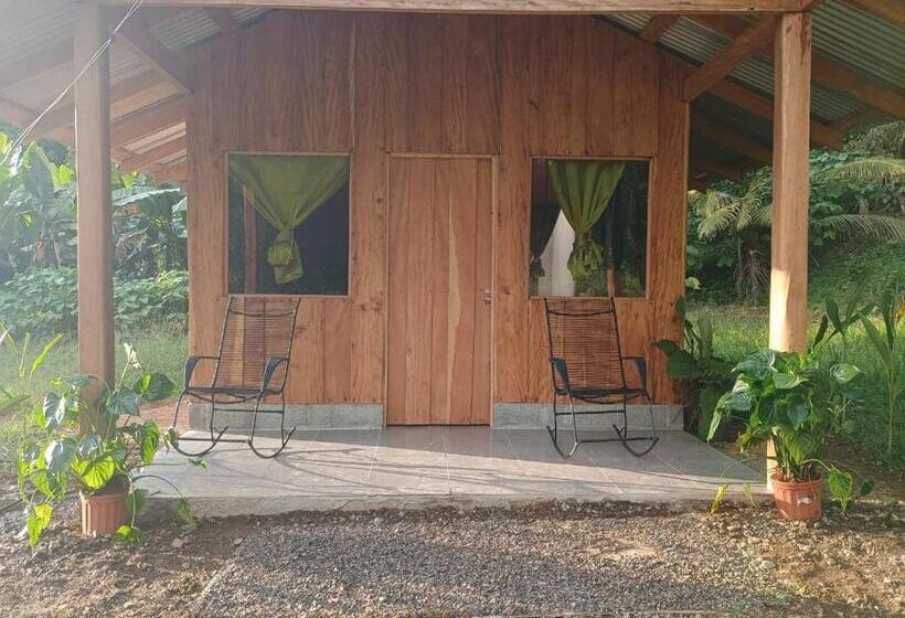 Apartamento 1 Dormitório, Casa Jungla Bahía Drake