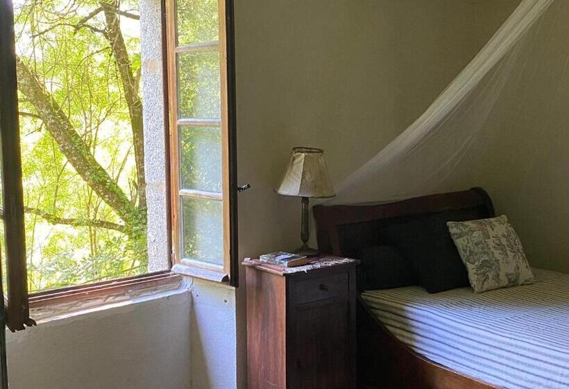 Номер Стандарт, La Maison Dans La Forêt