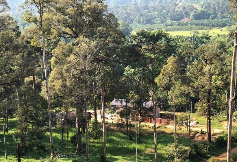 스탠다드 룸, Mydusun Chalet, Taiping, Perak, Malaysia