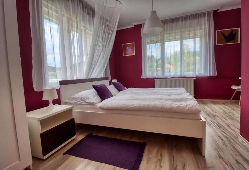 Номер Стандарт, Vincze Villa Vendégház