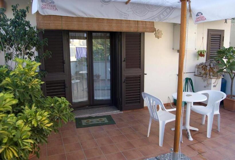 Номер Стандарт, B&b Cactus
