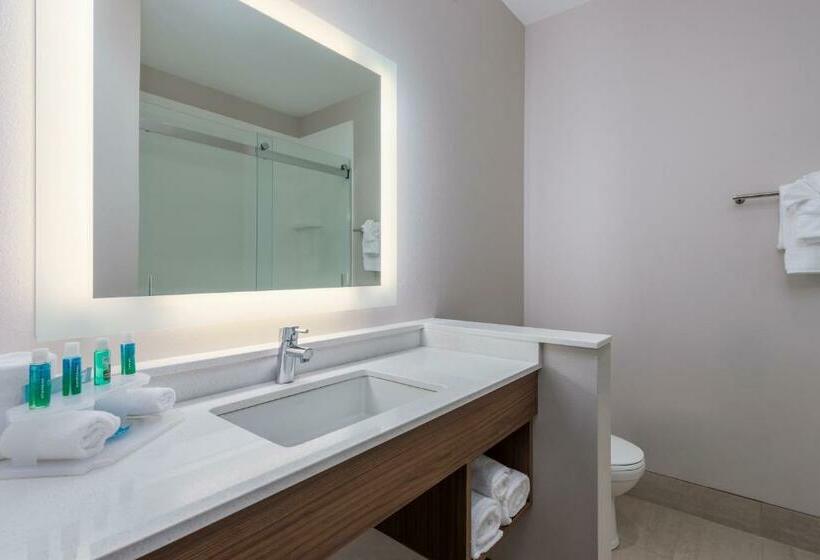 Номер Стандарт Адаптированный для Инвалидов, Holiday Inn Express Troy, An Ihg