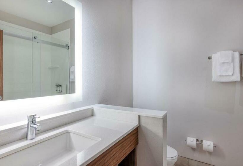 Номер Стандарт, Holiday Inn Express Troy, An Ihg