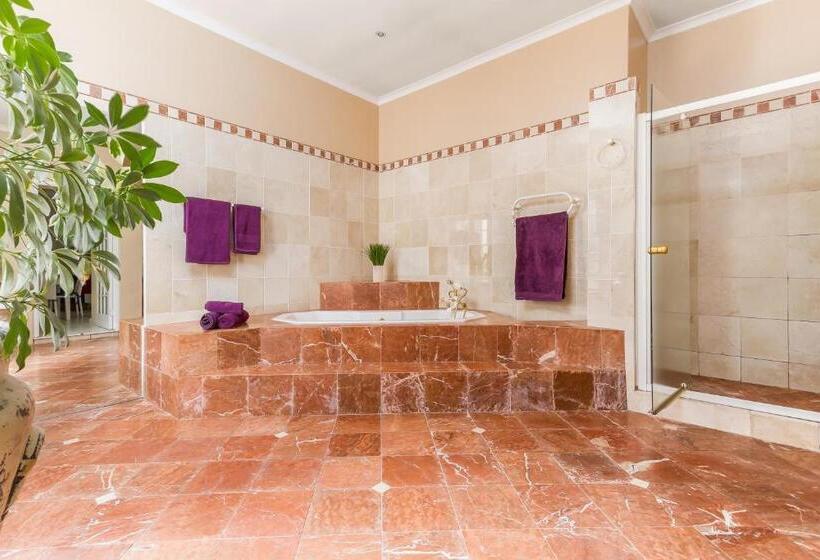 Апартаменты Deluxe 1 Спальня, Kleinbosch Lodge