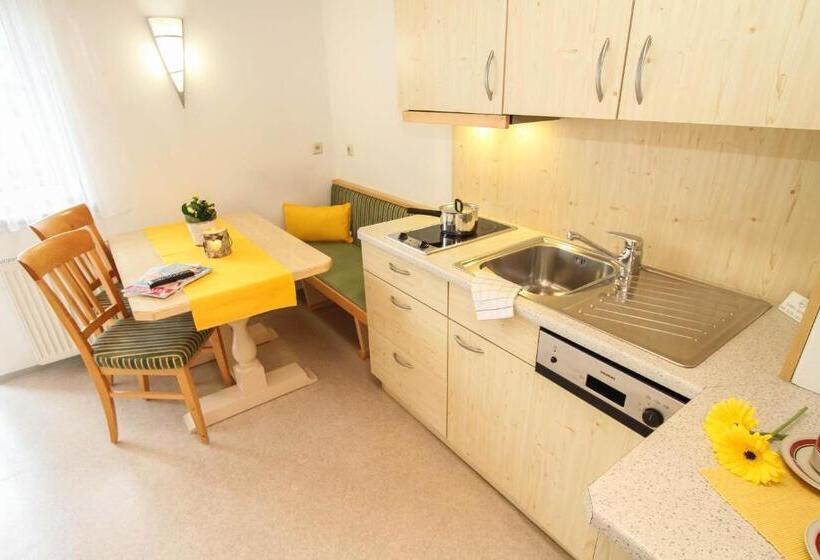 آپارتمان 1 خوابه با بالکن, Landhotel Oberdanner
