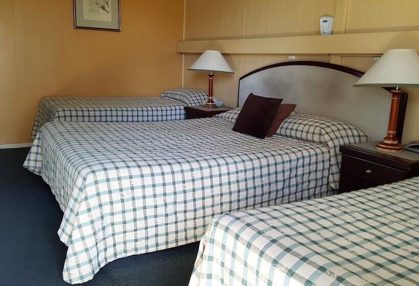 Семейный Номер, Centre Point Midcity Motor Inn