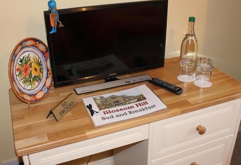 חדר דלוקס לשלושה, Blossom Hill Bed And Breakfast