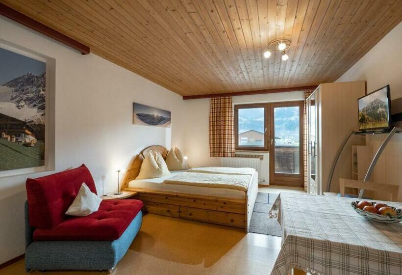آپارتمان 1 خوابه, Landhaus Elfi