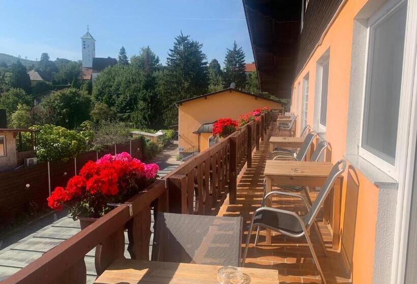 バルコニー付きスタンダードルーム, Austria