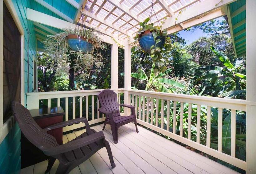 Apartamento 2 Dormitorios con Jardín, Puerta Azul