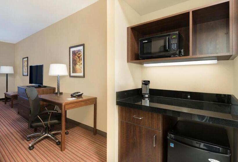 디럭스 스위트, Best Western Plus Hudson Hotel & Suites