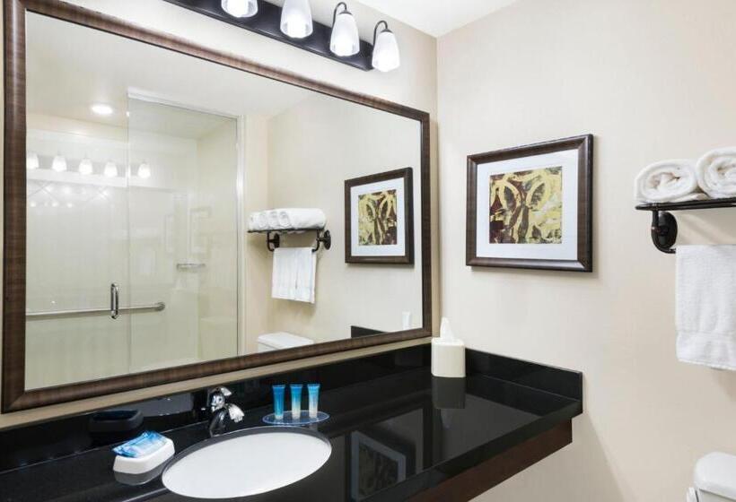 장애인을 위한 킹사이즈 침대 스탠다드 룸, Best Western Plus Hudson Hotel & Suites