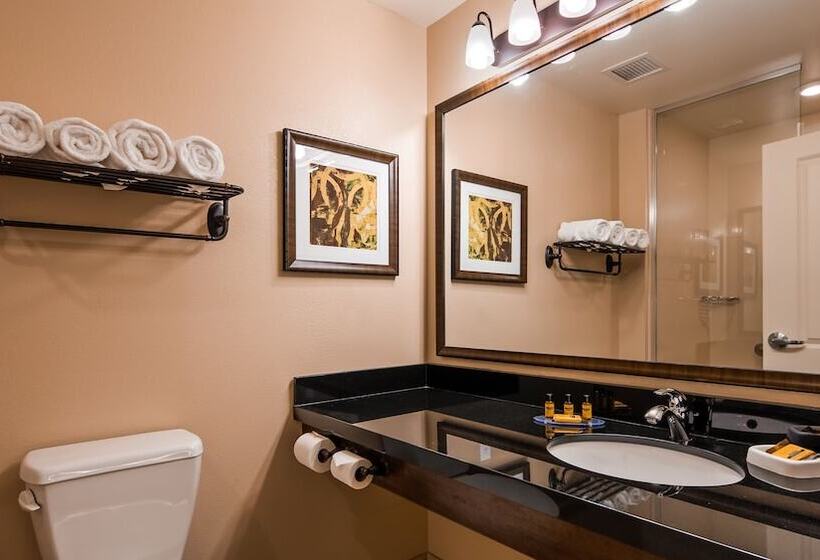 스위트, Best Western Plus Hudson Hotel & Suites