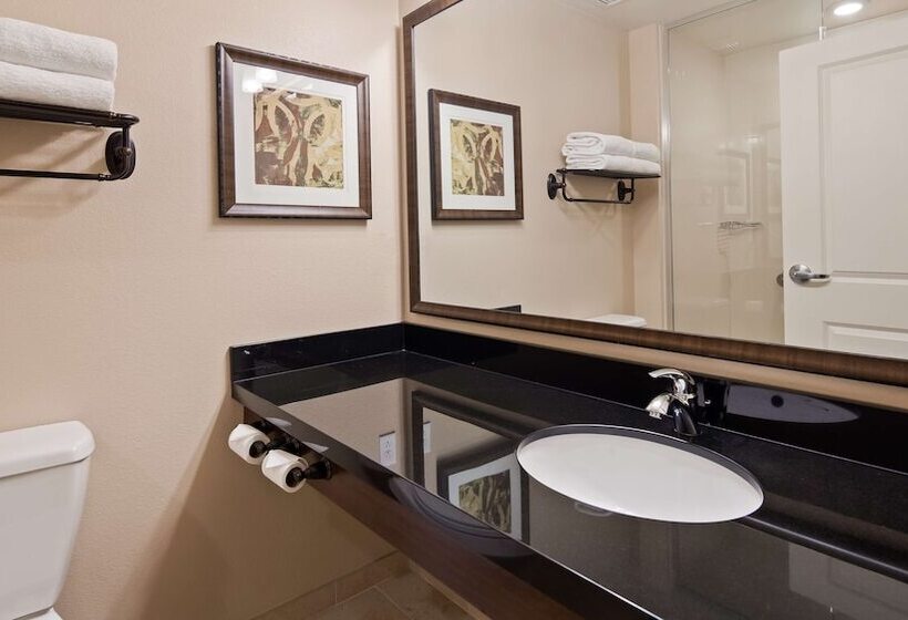 장애인을 위한 스위트, Best Western Plus Hudson Hotel & Suites