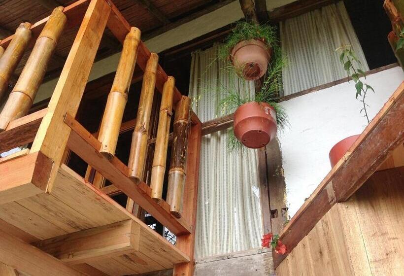 Номер Стандарт, Samai Lodge Holistic Living