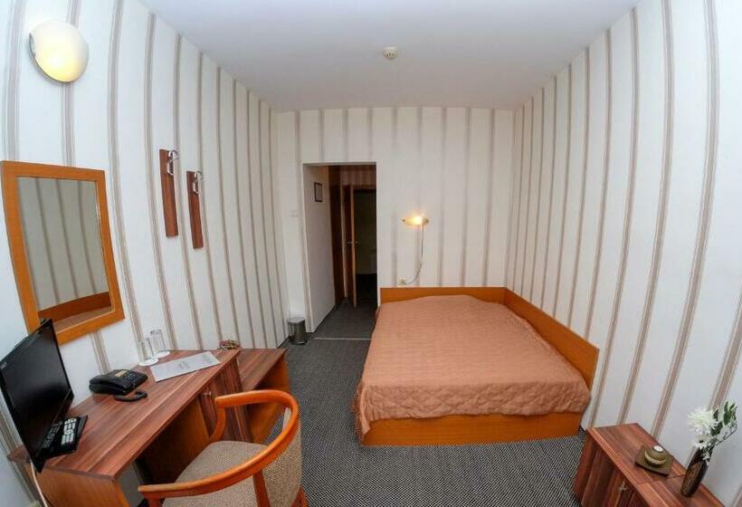 غرفة قياسية فردية, Rodopi