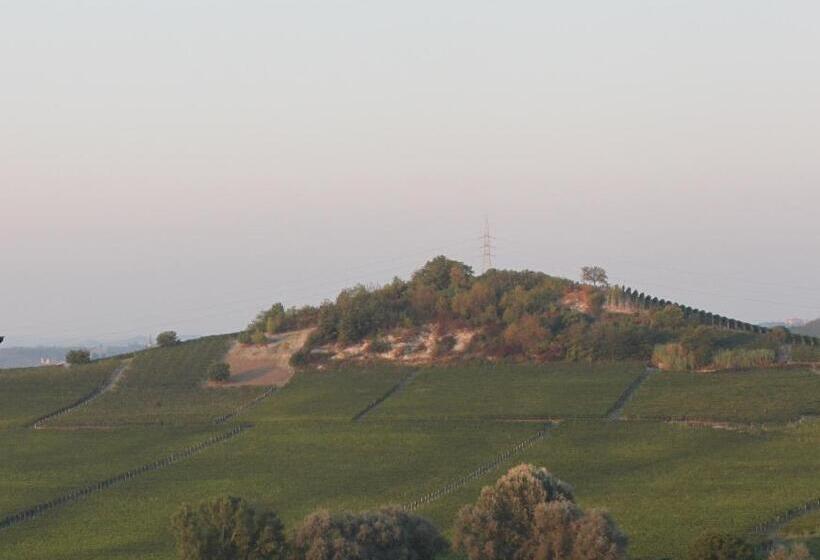 Номер Superior, Villa Vecchio
