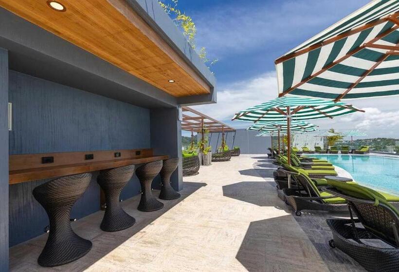 Апартаменты 1 Спальня Вид на Море, Appartements Avec Piscine