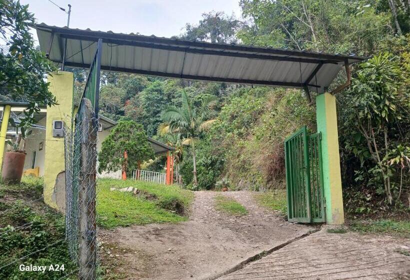 标准间, Refugio En La Montaña
