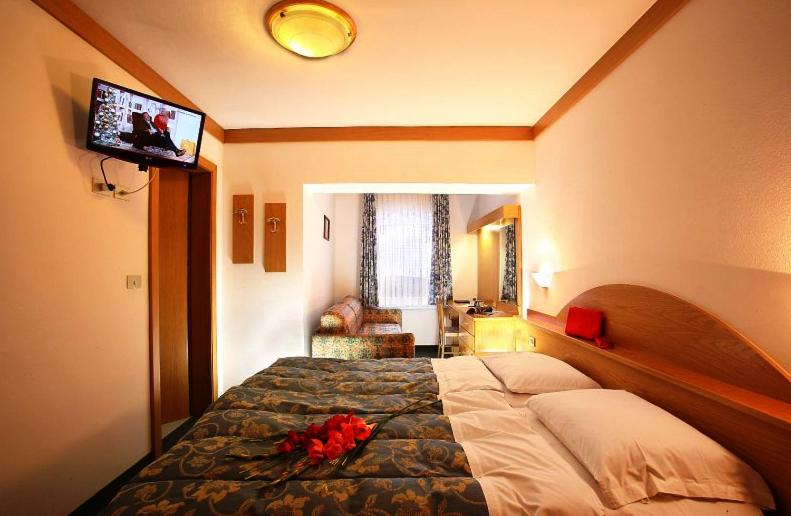 غرفة قياسية مطلة على الجبل, Fiorenza