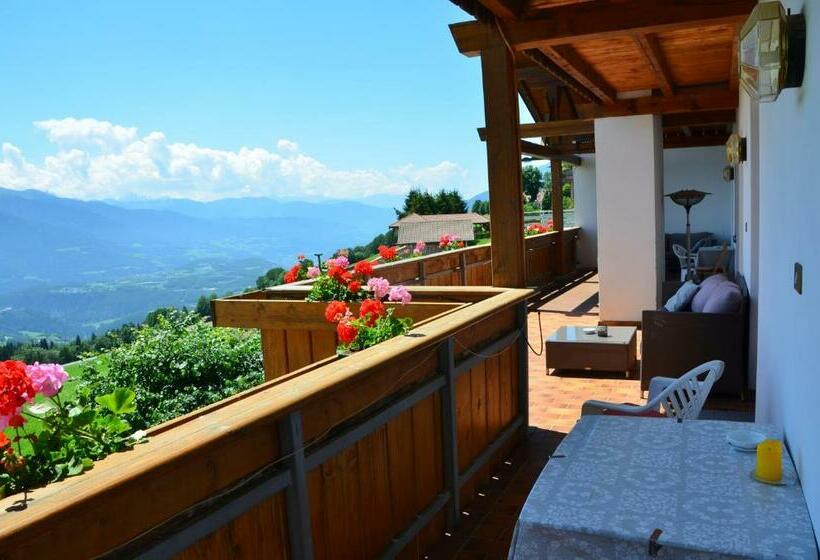 Номер Стандарт, Pension Schifferegger