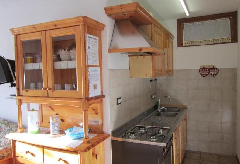 آپارتمان 1 خوابه, Residence Delapierre