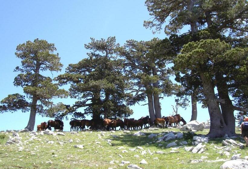 غرفة قياسية فردية, Sette E Mezzo