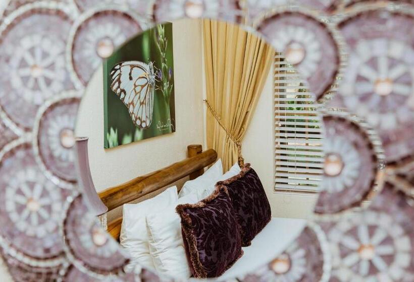 가든 전망 싱글룸, Boubou Bed And Breakfast