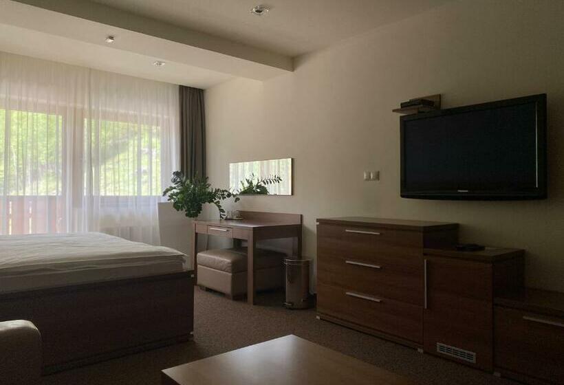 Номер Стандарт, Pension Tatrasport Zampa