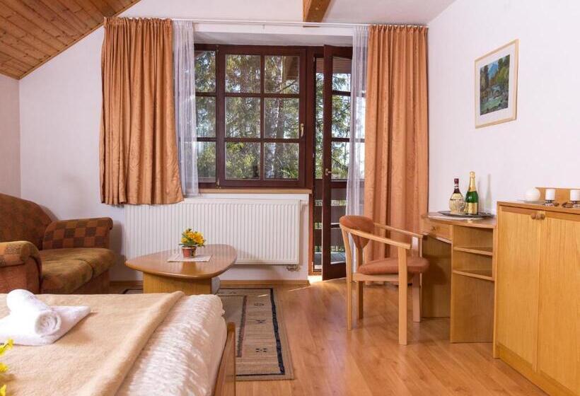 Номер Стандарт, Villa Tatry Stola