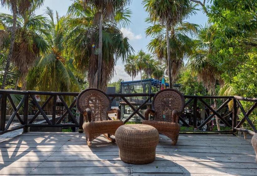 Quarto Estandar, Alquimia Hotel Boutique